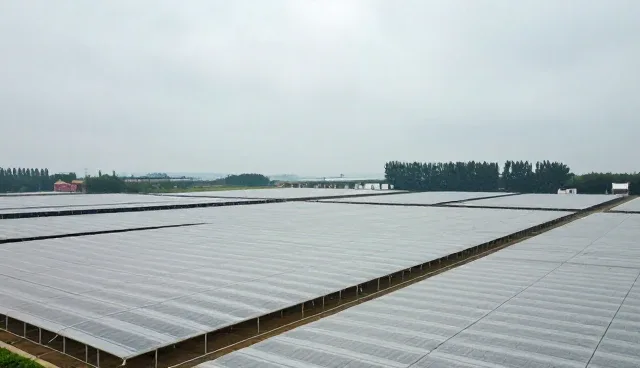 线上店铺运营中的选型关注点及处理方法