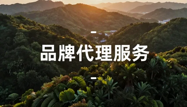 品牌代理中沟通协调对性能优化的关键作用